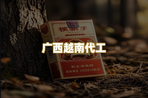广西越南代工